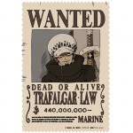 ONEPIECE_LAW